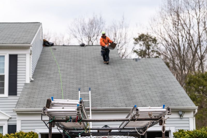 Spring Roofing Maintenance
