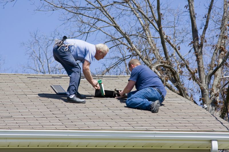 Shingles Repair